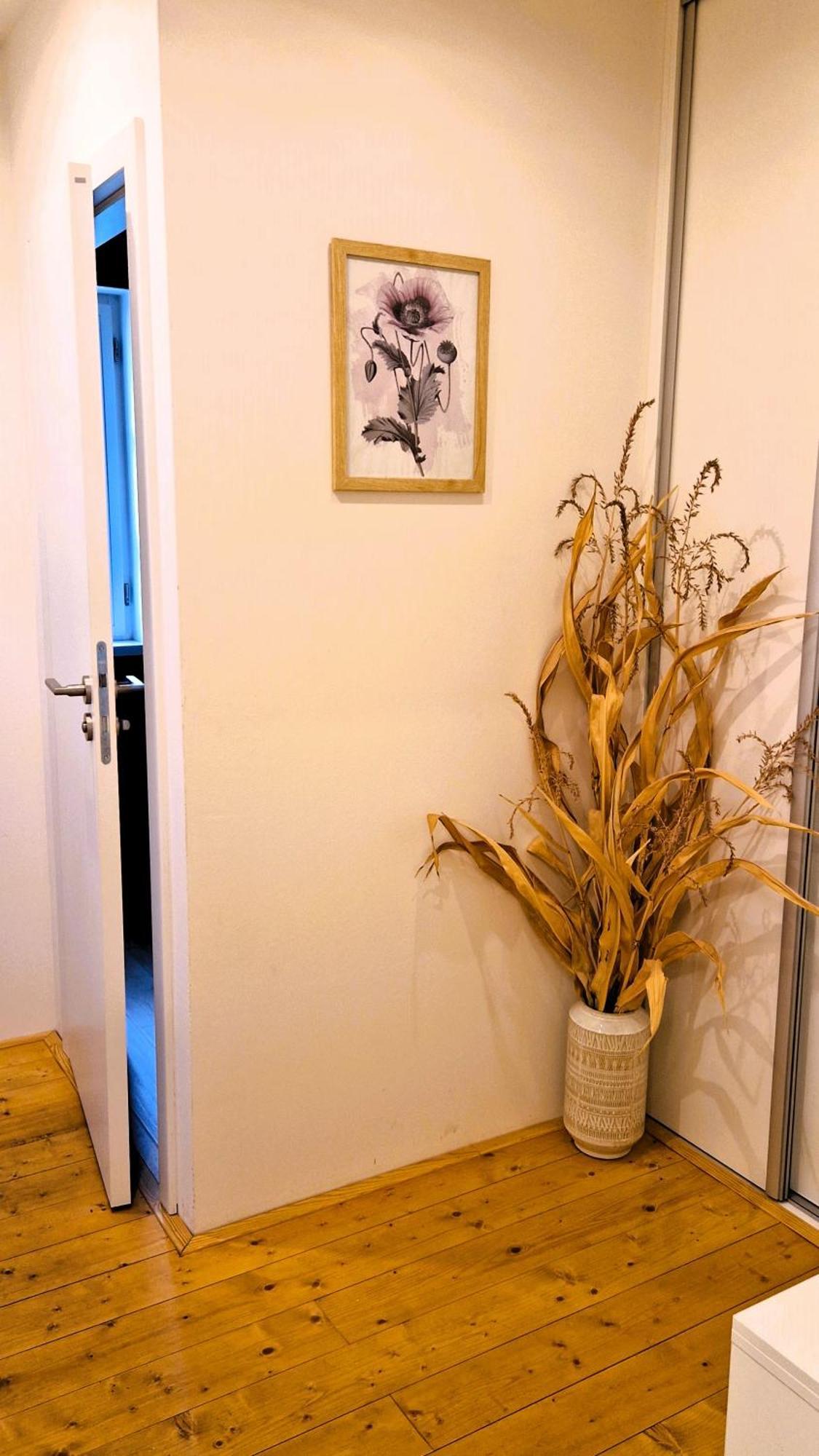 Apartmany Vcelin Brniste 외부 사진